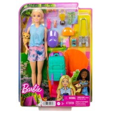 Barbie  Doll and Accessories
