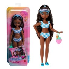 BARBIE  DREAM BESTIES Brooklyn Beach Party Doll and Accessories 